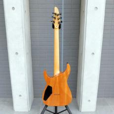 Edwards  E-HR6-FX/BM_4