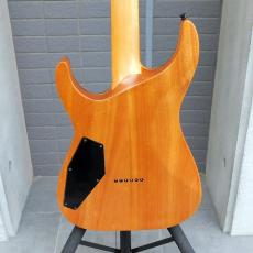 Edwards  E-HR6-FX/BM_6