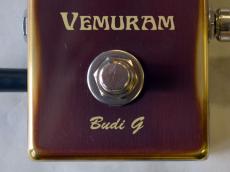 VEMURAM Budi-G_9