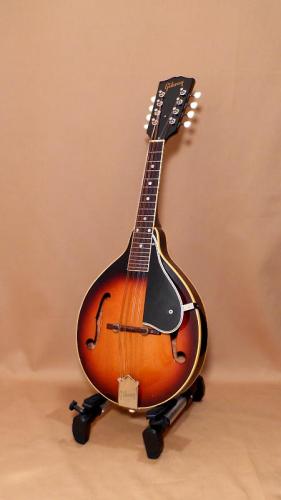 Gibson A-50