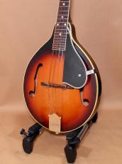 Gibson A-50_2