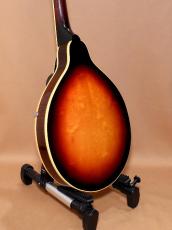 Gibson A-50_3