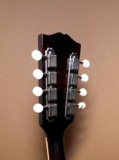 Gibson A-50_5