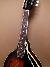 Gibson A-50_6