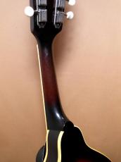 Gibson A-50_7