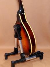 Gibson A-50_8