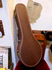 Gibson A-50_9