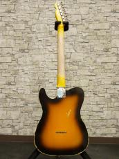 Component Custom Telecaster Model Relic_13