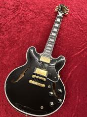 FgN MSA-HP-C/BK【2018年製中古】_2