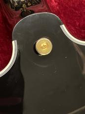 FgN MSA-HP-C/BK【2018年製中古】_9