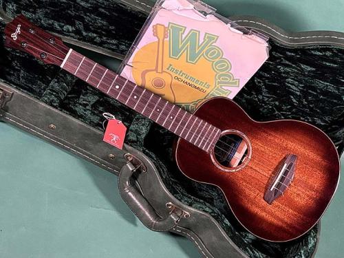 aNueNue SINGER SERIES RT1M