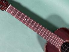 aNueNue SINGER SERIES RT1M_7