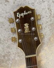Epiphone Triumph_5