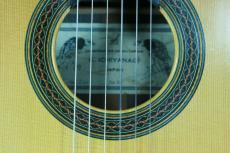 Ichiyanagi Kazuo [一柳一雄] NO.50　松/ハカランダ　2001年