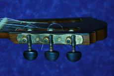 Ichiyanagi Kazuo [一柳一雄] NO.50　松/ハカランダ　2001年_5