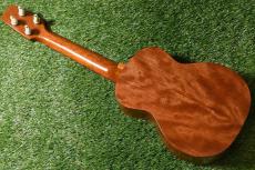 Seilen SLC-500 Concer_3