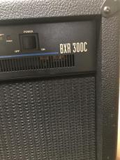 Fender BXR 300C_4