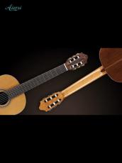 Aiersi Guitar Friederich-JC【フレドリッシュモデル|杉&ローズ】_5