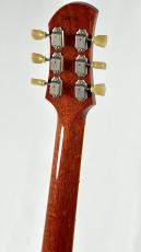 Bizen Works ~The Vintage Collection~ BURNED STD #PAF Bumblebee -Honey Burst-【3.91kg】_8