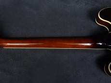 Burny 1980s RSA-100'60 BS_8