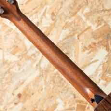 Taylor 414ce Studio Shaded Edgeburst_7