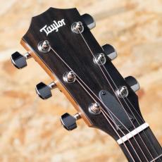 Taylor 414ce Studio Shaded Edgeburst_8