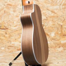 Taylor 212ce Walnut_5