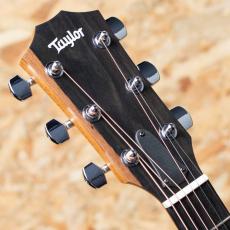 Taylor 212ce Walnut_8