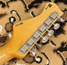 FREEDOM CUSTOM GUITAR RESEARCH Freedom R.S.ST 3S ALD/R FRD [3.53kg] #1898L_9