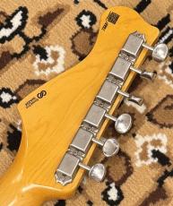 FREEDOM CUSTOM GUITAR RESEARCH R.S.ST 3S ALD/R SBL [3.49kg] #1888L_9