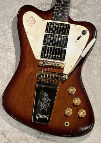 Gibson 1960's Firebird Non-Reverse Sunburst【PRICE DOWN】【3.95kg】【G-CLUB TOKYO】