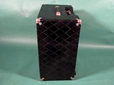 POLYTONE MINI BRUTE Ⅲ_4