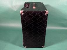 POLYTONE MINI BRUTE Ⅲ_5