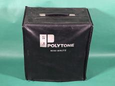 POLYTONE MINI BRUTE Ⅲ_7