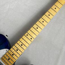 FUJIGEN NTE100MAH-SBB ~See-Thru Blue Burst~ #241034 ≒3.60kg【爽やかブルーバースト!】_4