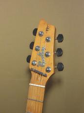 Godin Radiator_6