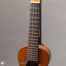 aNueNue aNN-S4_5