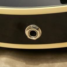 D'Angelico Premier Series SS, Black Flake_9