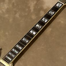 D'Angelico Deluxe Series Deluxe Brighton Desert Gold_5