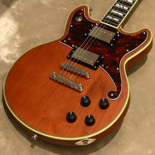 D'Angelico Deluxe Series Deluxe Brighton Matte Walnut