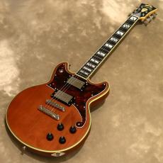 D'Angelico Deluxe Series Deluxe Brighton Matte Walnut_2