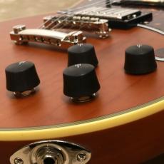 D'Angelico Deluxe Series Deluxe Brighton Matte Walnut_7