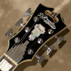 D'Angelico Premier Series Premier Bedford SH Black Flake_4