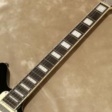 D'Angelico Premier Series Premier Bedford SH Black Flake_5