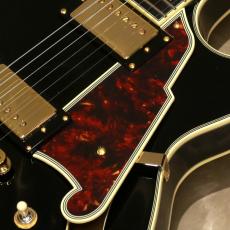 D'Angelico Excel Series Excel SS, Solid Black_9