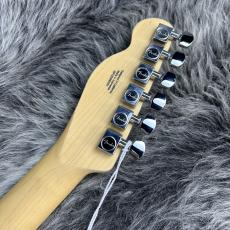 Fender Standard Telecaster Aqua Marine Metallic_9