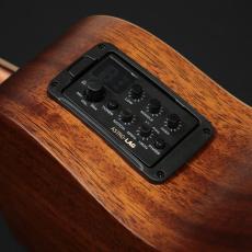 LAG Guitars T170 ACE_9