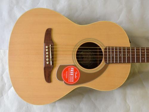 Fender Sonoran Mini