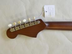 Fender Sonoran Mini_9