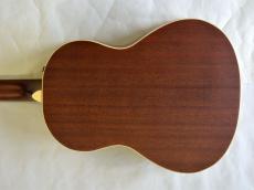 Fender Sonoran Mini_10